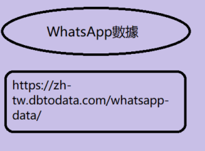 WhatsApp數據